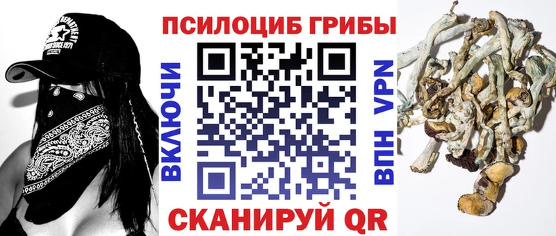 Галлюциногенные грибы Cubensis  где можно купить наркотик  Морозовск 